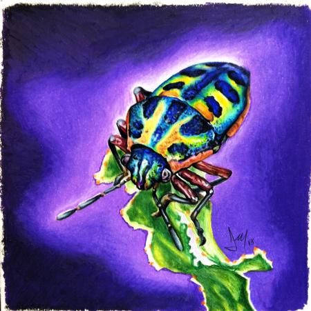 Justin Mariani - Beetle